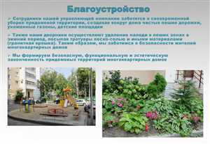 Как ухаживать за придомовой территорией после благоустройства: сезонные работы и советы